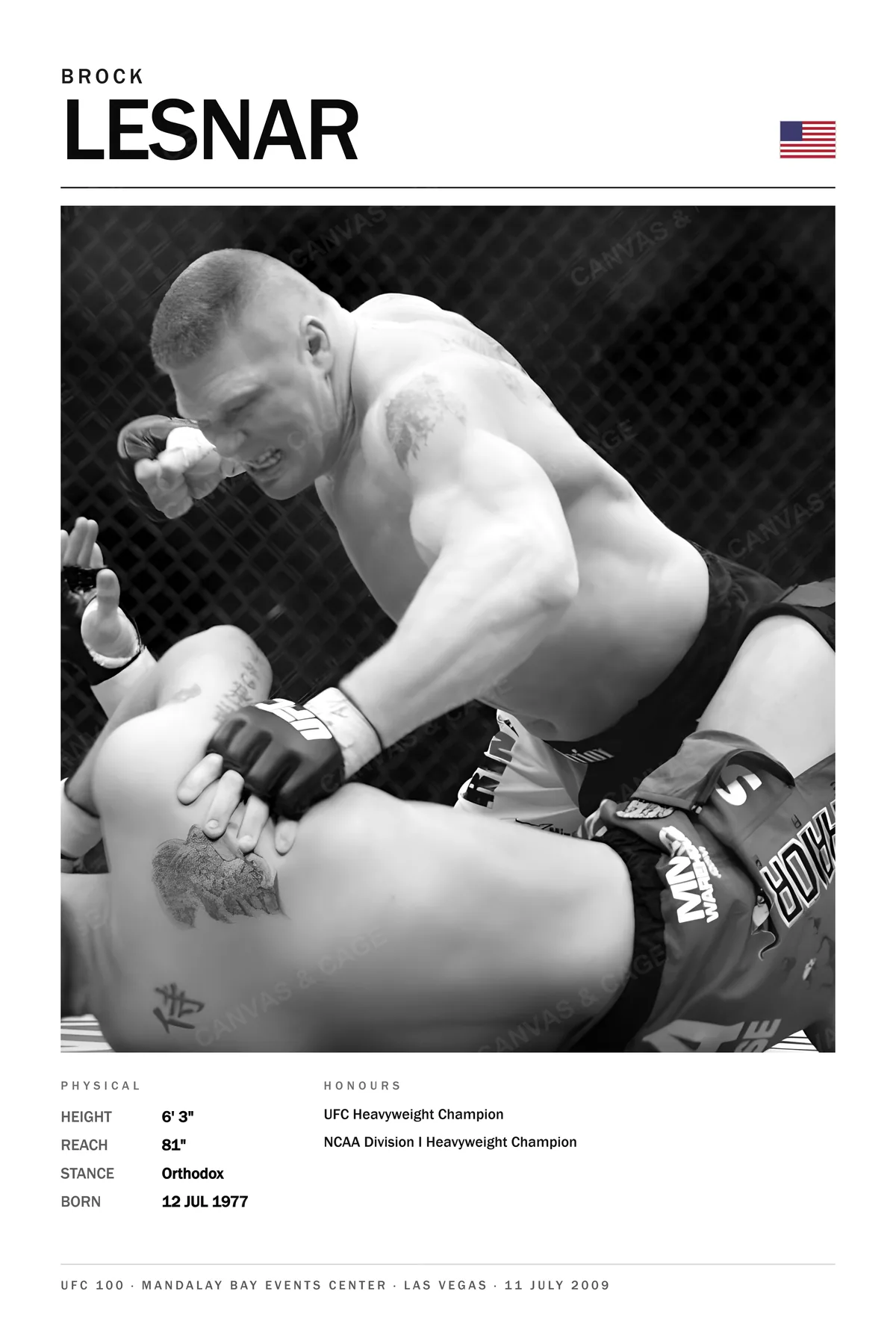 Brock Lesnar — Ground and pound from the top, enormous frame over the opponent