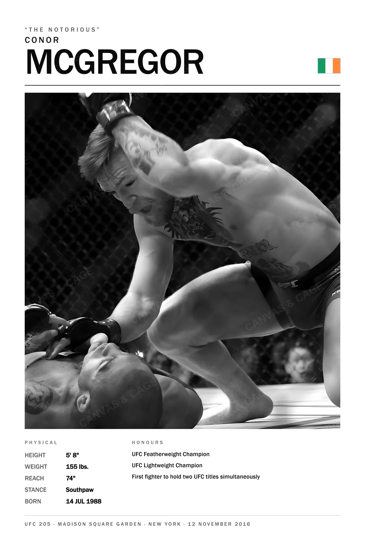 Conor McGregor — Crouched over a downed opponent, fist cocked