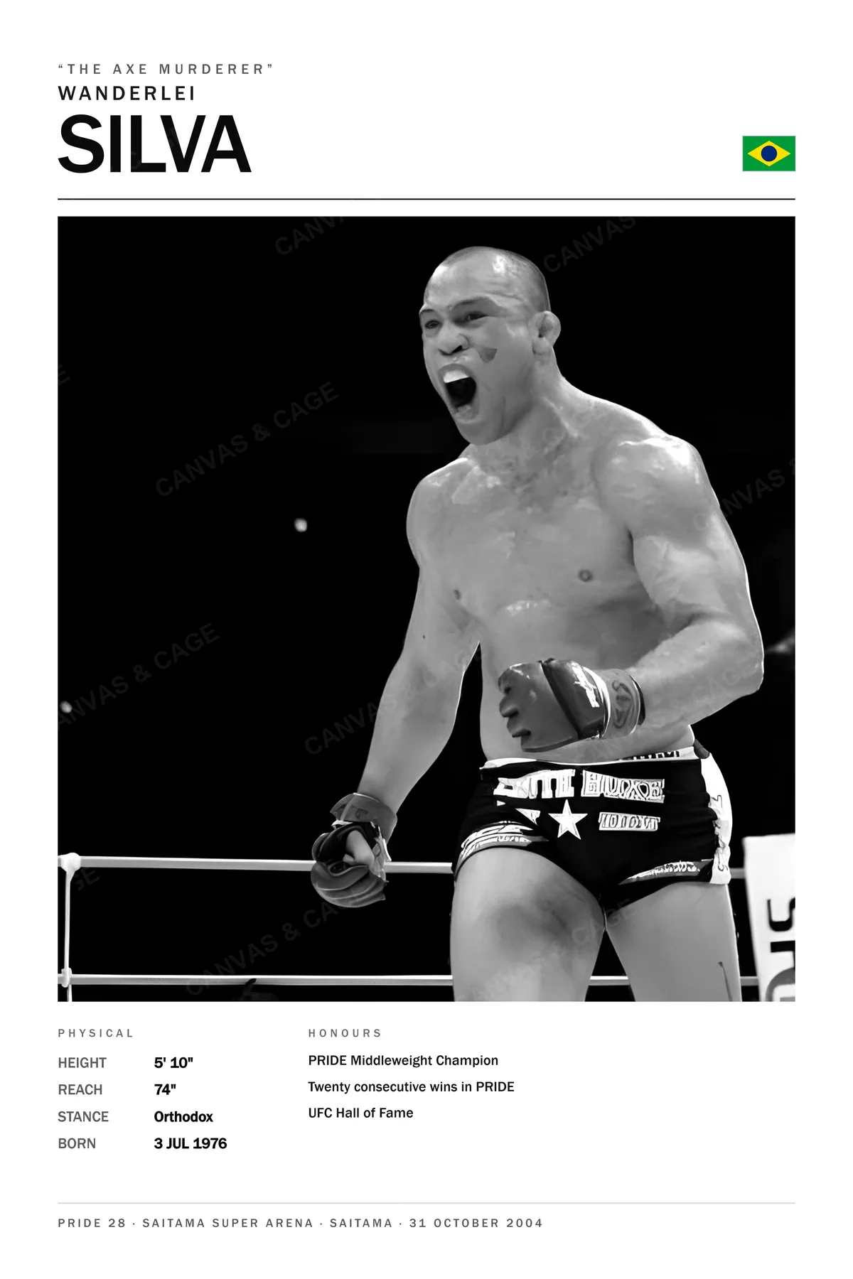 Wanderlei Silva — Roaring alone in the ring at PRIDE 28, Saitama